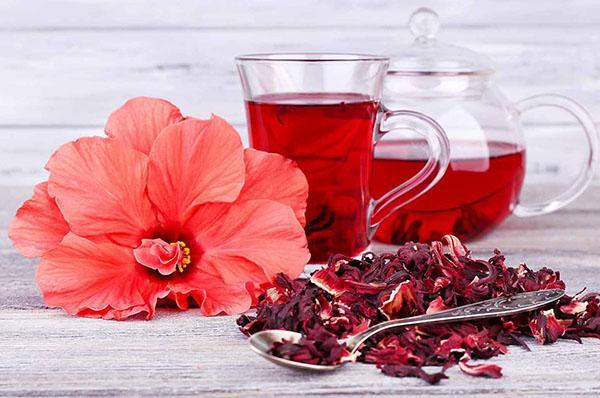 Чайная роза лечебные свойства и противопоказания thumbnail