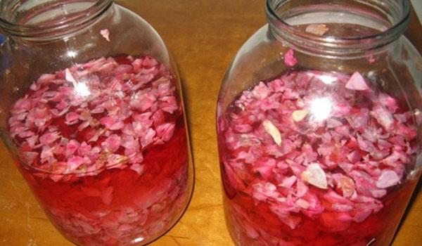 Лепестки роз лечебные свойства и противопоказания thumbnail