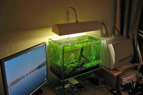 подсветка аквариума