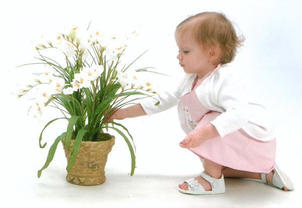 опасные для ребенка цветы