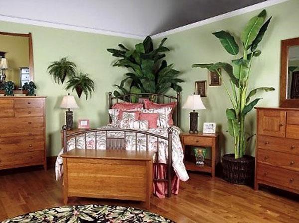 большие растения в спальне