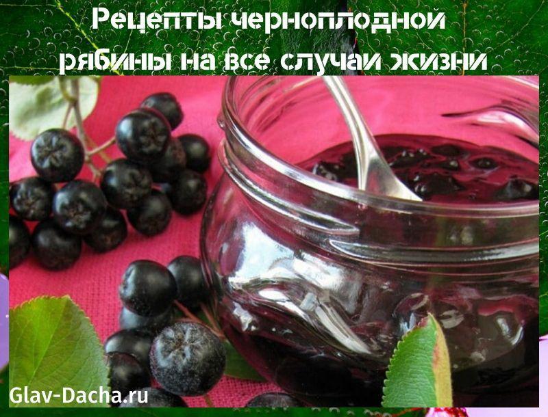 рецепты черноплодной рябины
