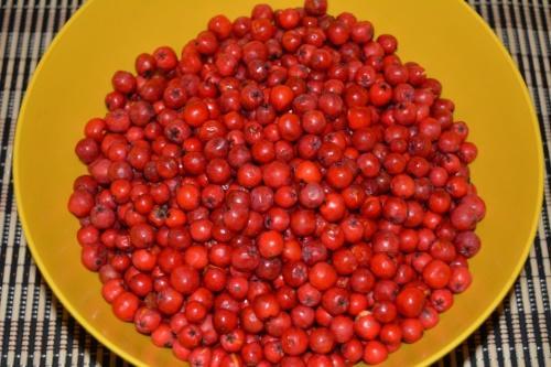 ягоды рябины