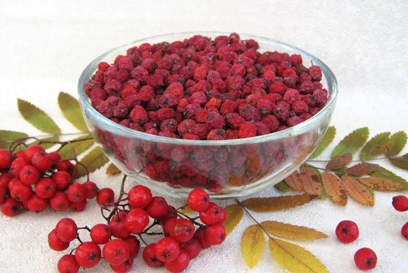 сушенные ягоды красной рябины