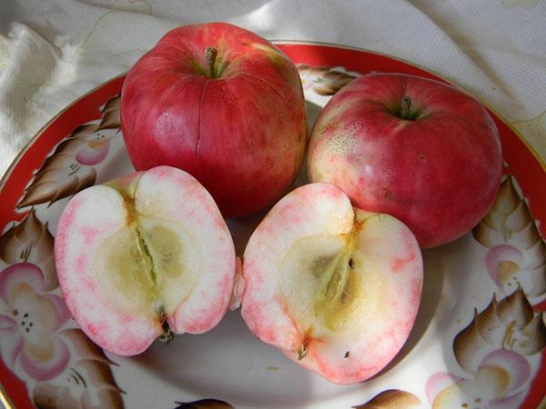 яблоки в разрезе