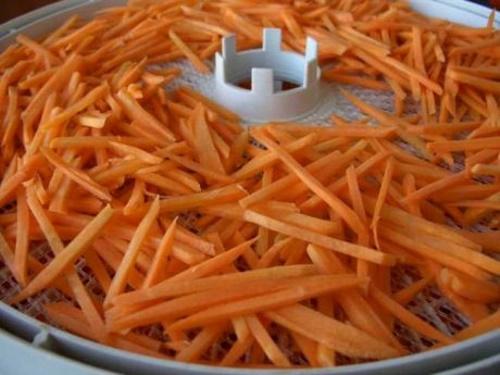 сушка моркови
