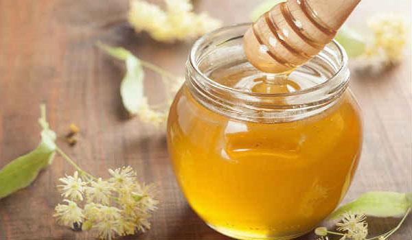 Чем полезен липовый мед, свойства, калорийность, вкус, видео