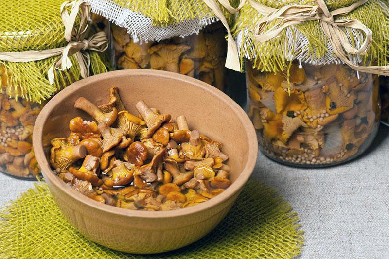 грибы маринованные рецепты приготовления лисичек