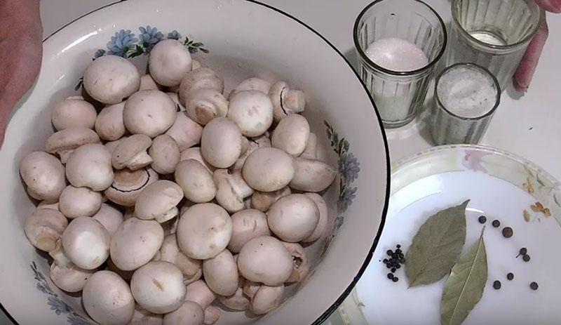 ингредиенты для маринования грибов
