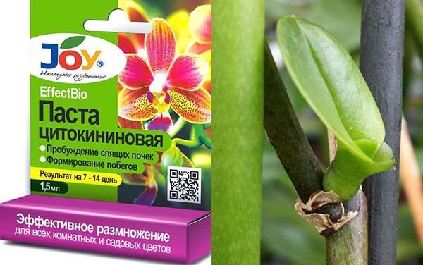 Мазь скорпионикс: полезный средство для стоматологии