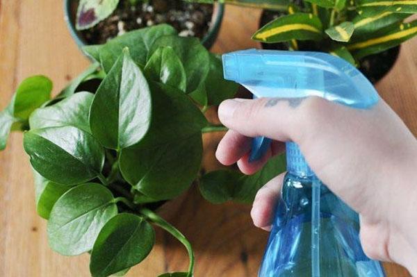 инструкция по применению препарат омайт для комнатных растений