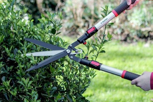 Как выбрать садовые ножницы для стрижки газона, кустов, видео