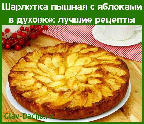 Рецепт Яблочного Пирога Шарлотка С Фото