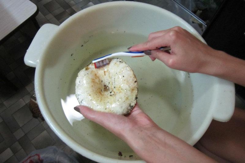 подготовка грибов к засолке