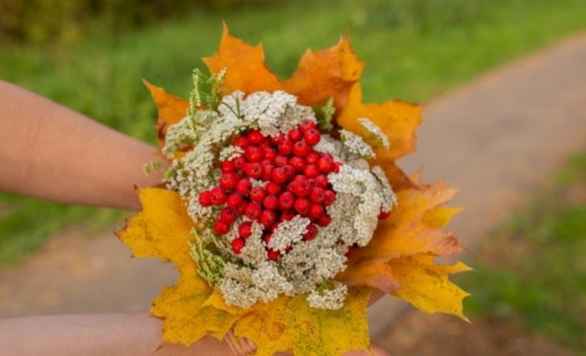 Фото Осенних Цветов Красивых И Листьев