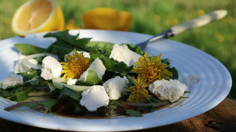 салат с цветами одуванчика