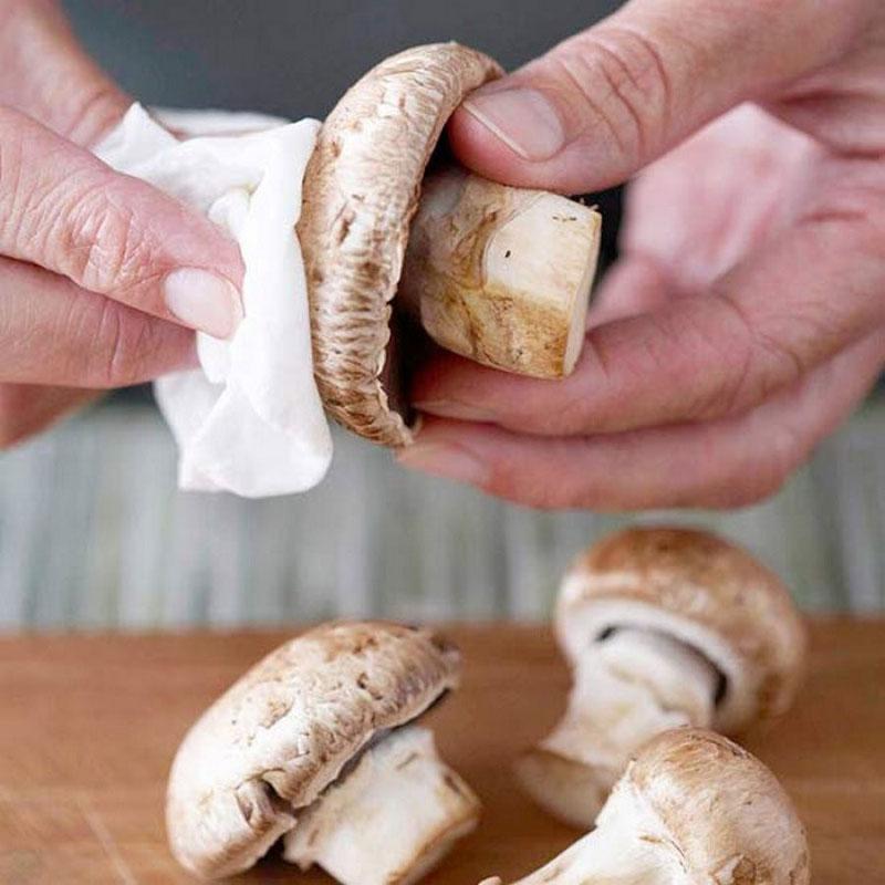 подготовка грибов к сушке