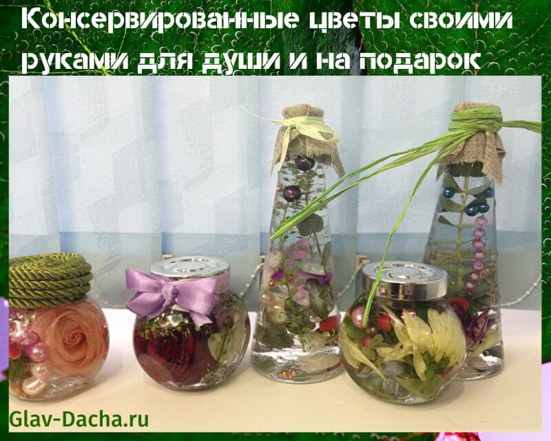 konservirovannye cvety 1a