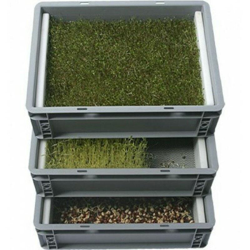 контейнеры для выращивания микрозелени