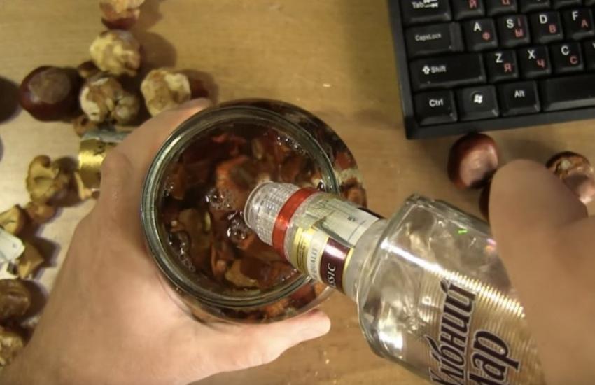 спиртовая настойка каштана