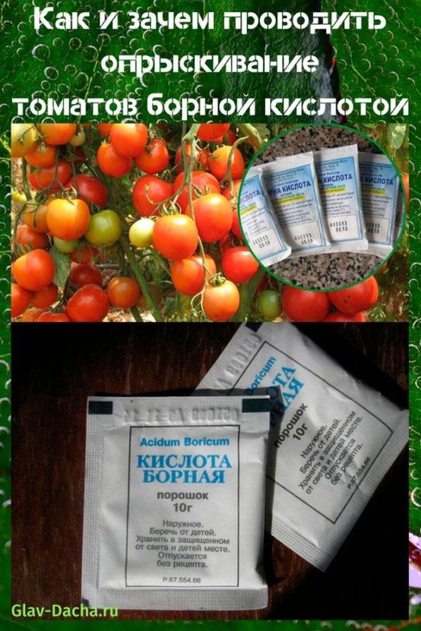 Опрыскивание томатов борной кислотой в открытом грунте, теплице