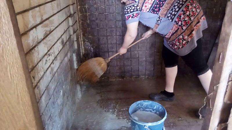 обработка помещений для животных