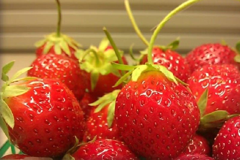 сочные сладкие ягоды