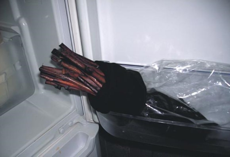 хранение черенков в холодильнике