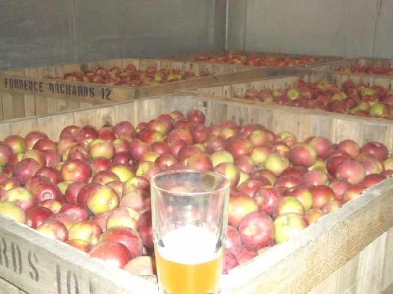 яблоки для вина