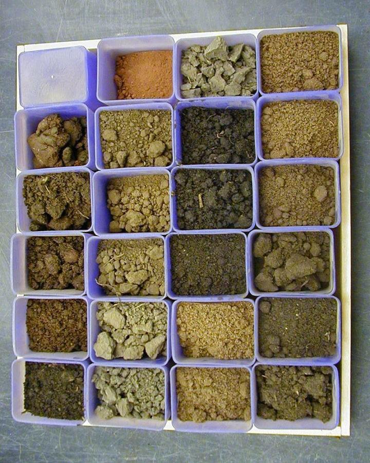 Виды почв и их характеристика - супесчаная, глинистая, торфяная
