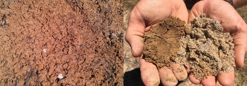 Виды почв и их характеристика - супесчаная, глинистая, торфяная