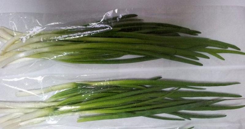 хранение зеленого лука в холодильнике