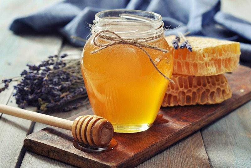 мед из анисового лофанта