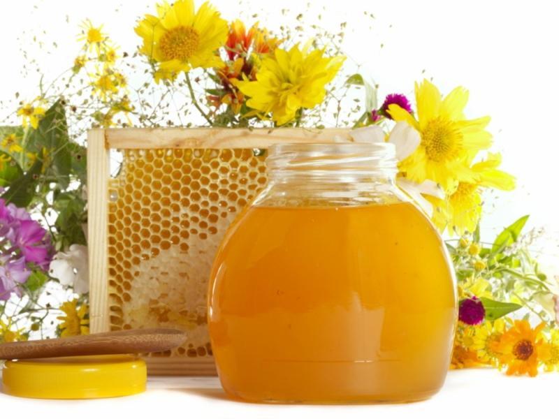 цветочный мед полезные свойства и противопоказания