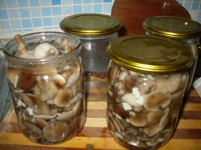 заливка готовых грибов маринадом