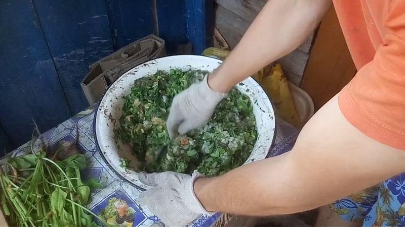 питательная мешанка
