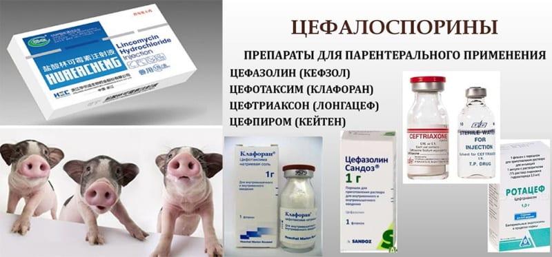препараты против паракератоза у свиней