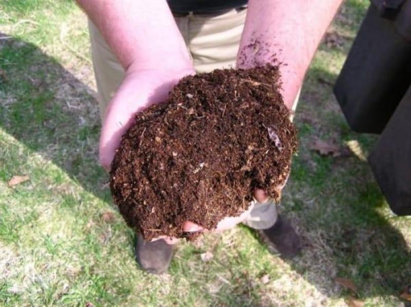 подготовка почвы для малины