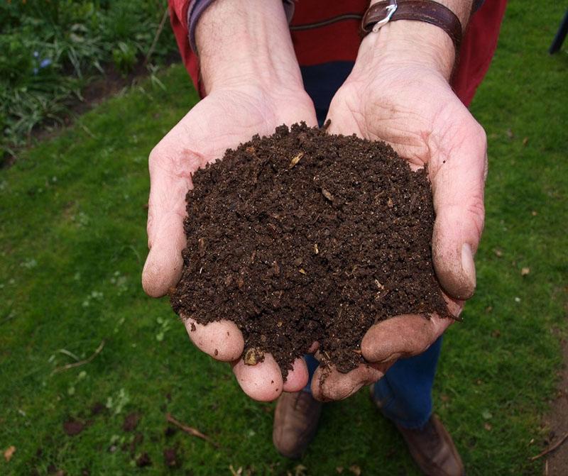 питательная почва