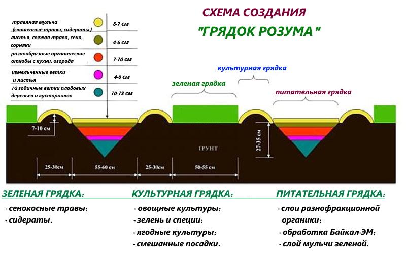 Грядка розума схема