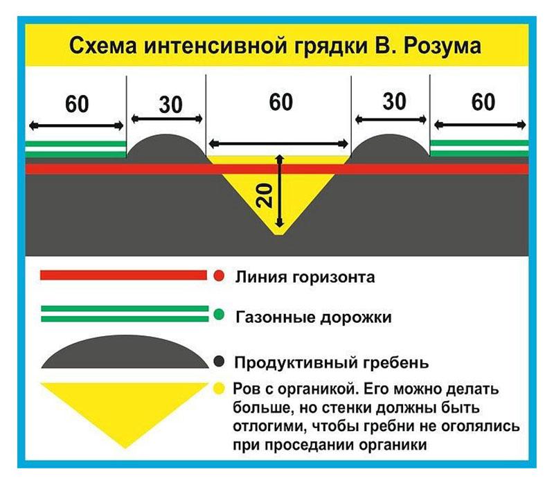 Грядка бублика схема