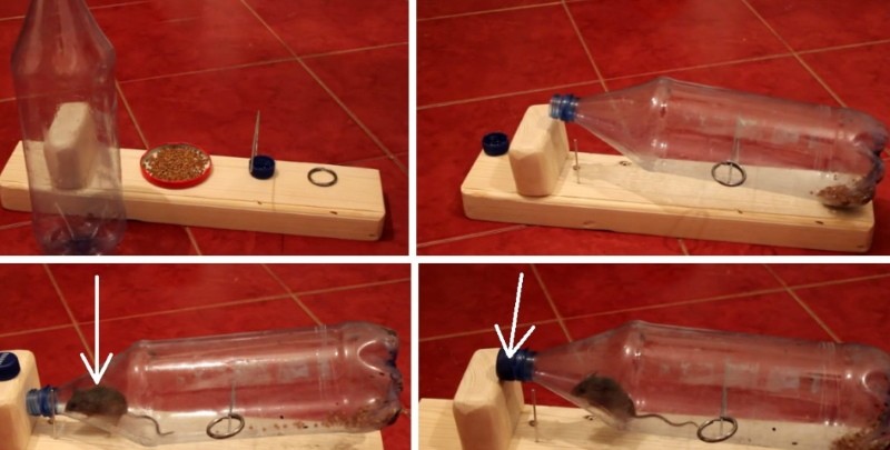 ловушка для мышей из пластиковой бутылки видео