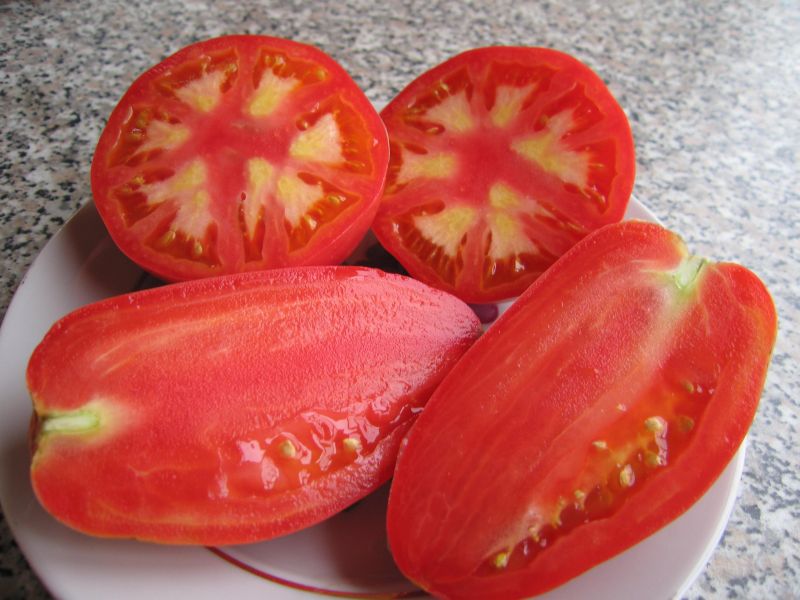плоды томата петруша огородник