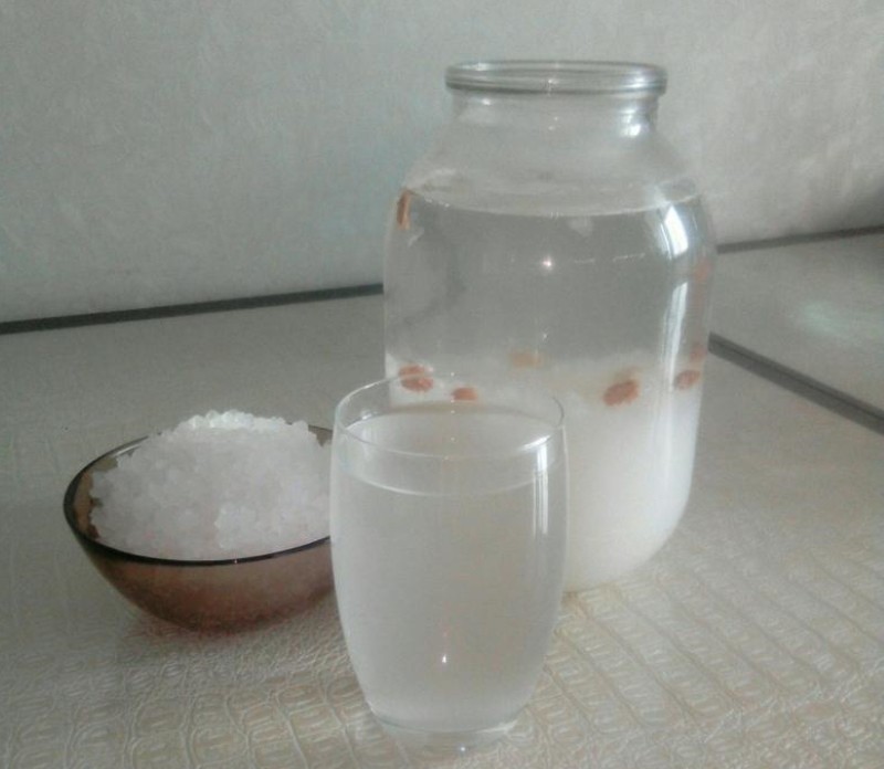 индийский морской рис полезные свойства