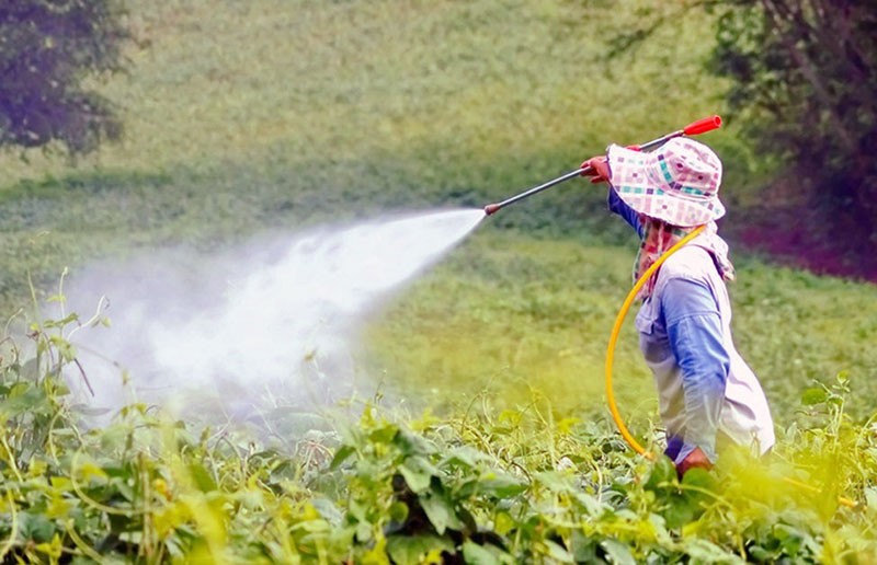 влияние пестицидов на окружающую среду