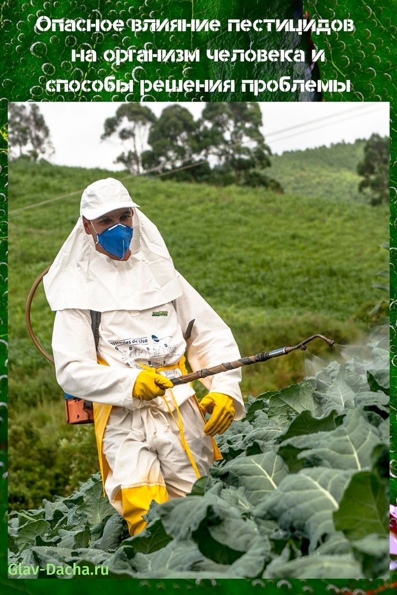 влияние пестицидов на организм человека