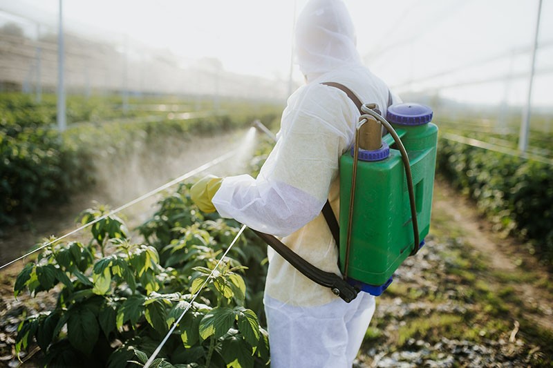работа с пестицидами