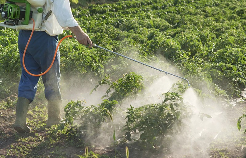 обработка растений пестицидами