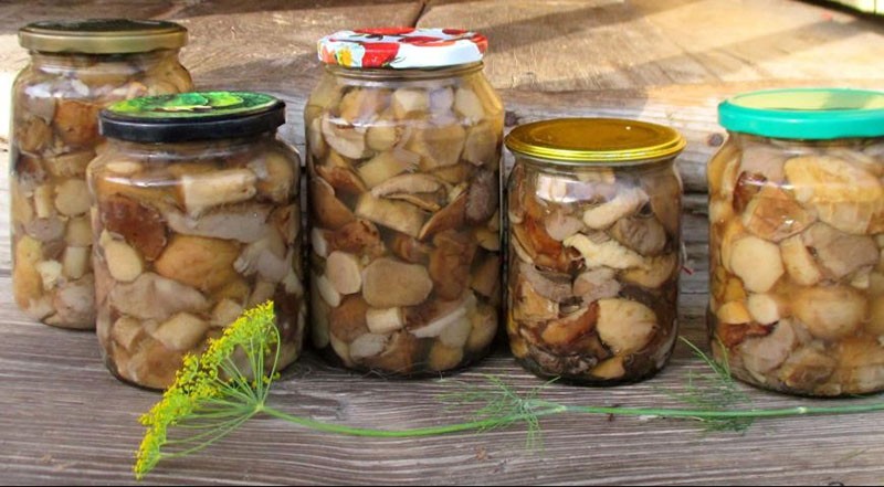 рецепт маринованных степных грибов под острым маринадом