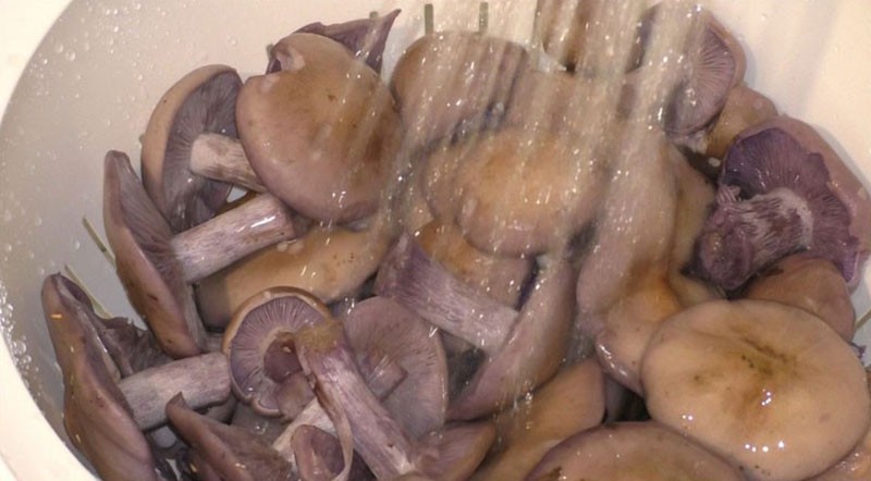 помыть грибы под проточной водой